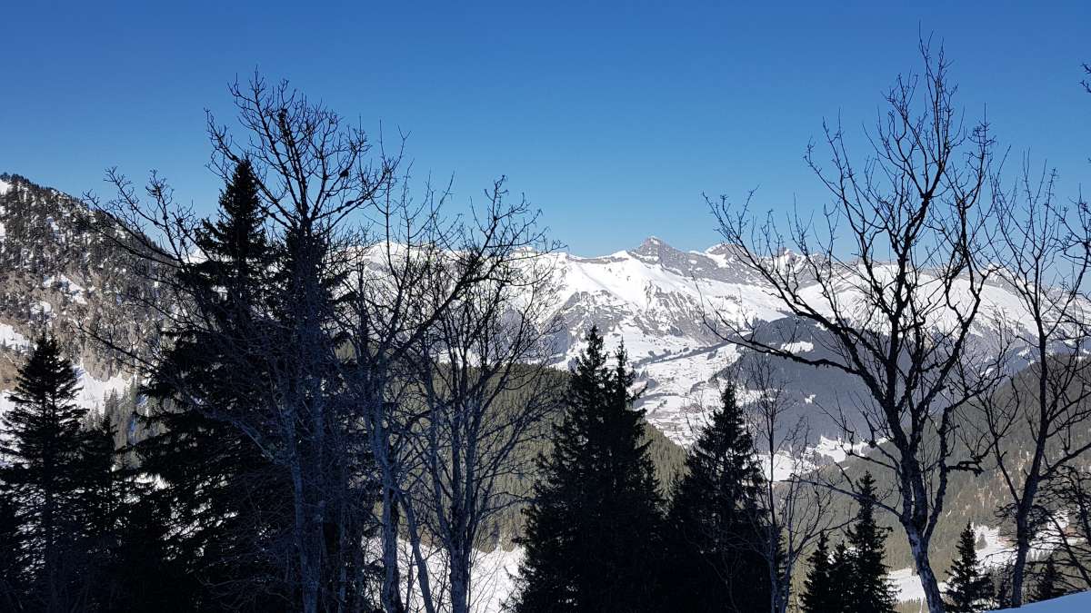 20190221_123551