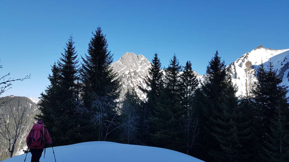 20190221_123601