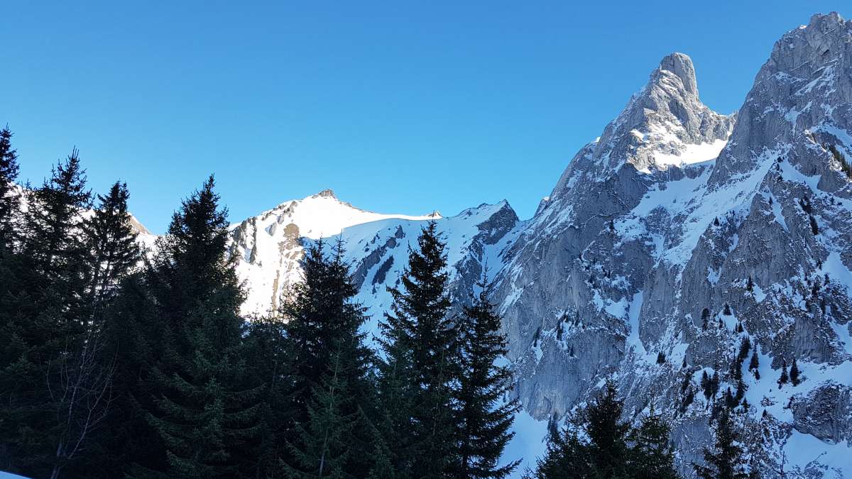20190221_123613